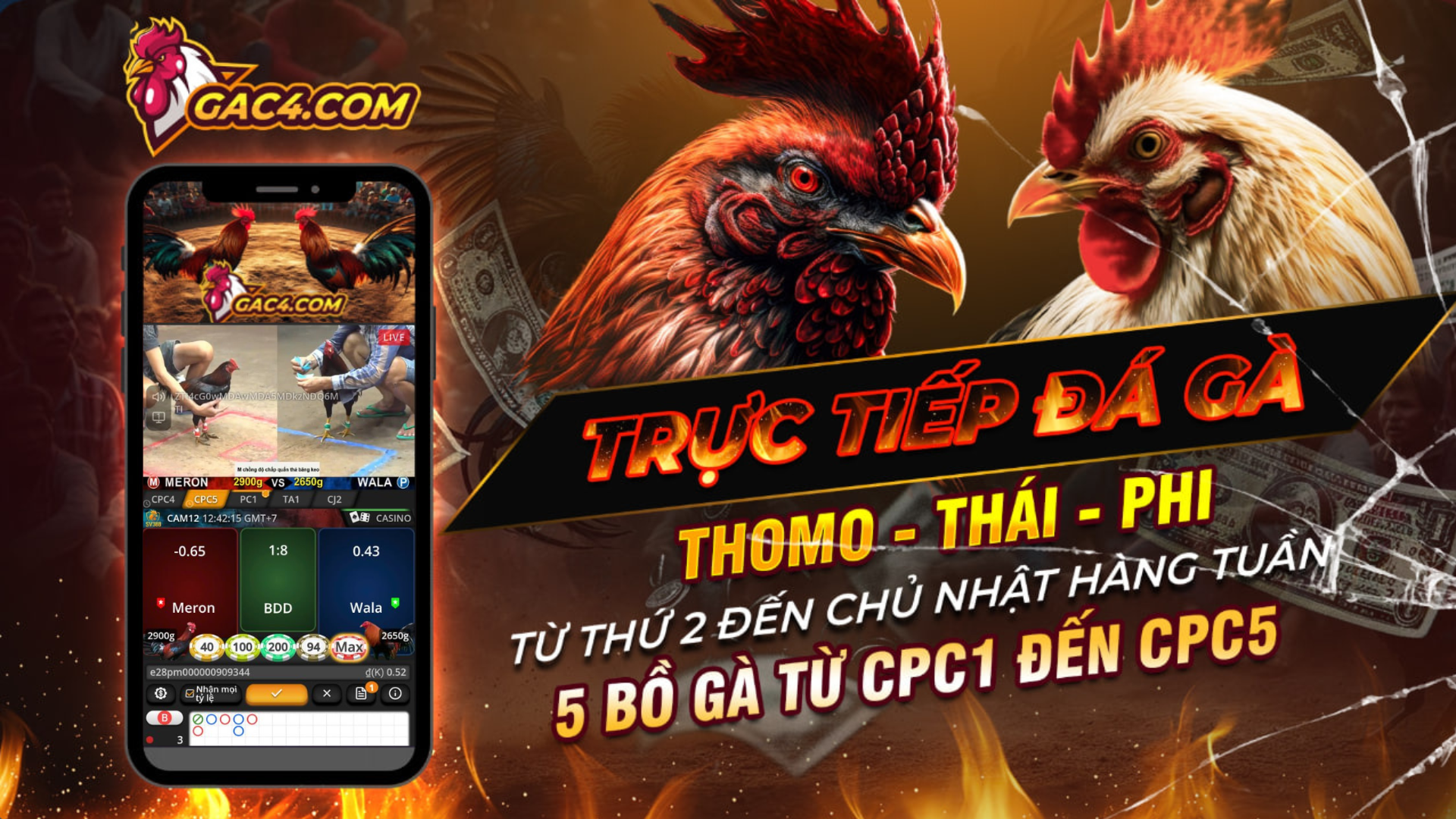 Thiết kế chưa có tên